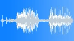 Car Gear Shift ParkSound Effect
