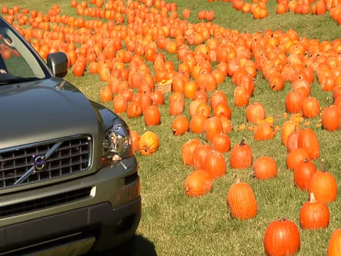 A car goes along by the pumpkin patch fully filled with pumpkins Stock Footage 22868316
