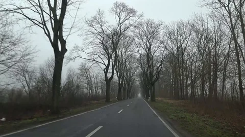 The car goes on the empty road Stock Footage 91936781