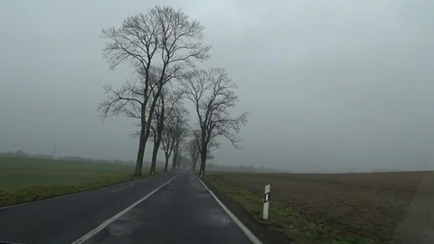 The car goes on the road Stock Footage 91936400