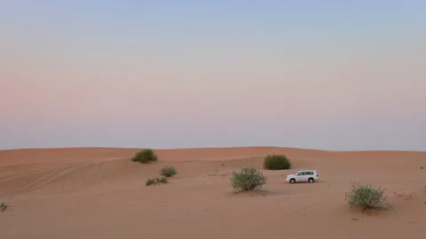 Car Goes Through The Desert. Stock Footage 151607520