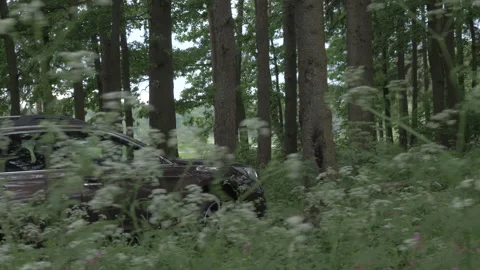 The car goes through the forest Stock Footage 141765123