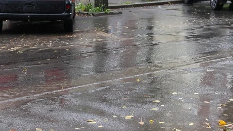 The car goes through a puddle. Video stock 116050298