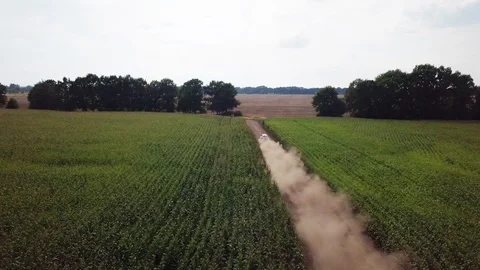 The car is going on a dirt road through a field of corn. 4k Stock Footage 94919825