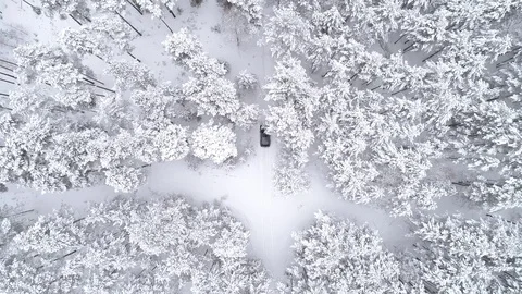 The car is going in the winter forest Stock Footage 83303260