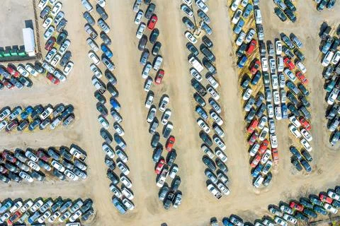 Car graveyard filled with various makes and models in disarray under bright Stock Photos