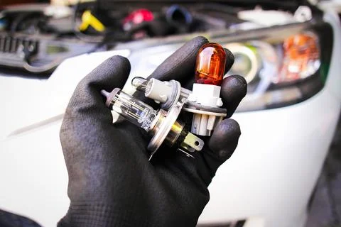 Car halogen bulb of headlight in auto mechanic hand Stock Photos