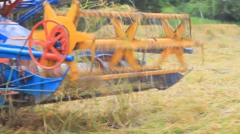 Car harvest Stock Footage 12289778