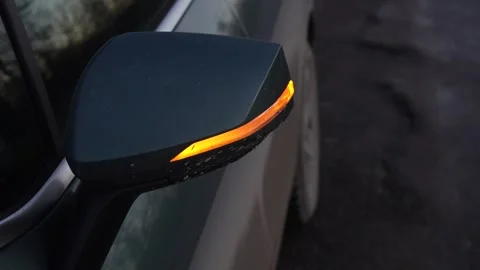 Car Hazard Lights On Stock Footage 295880710