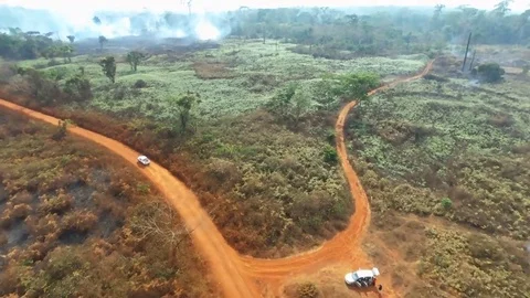Car heading toward smokes of forest fires Stock Footage 80561523