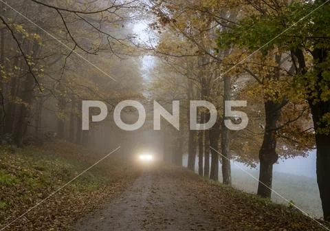 Car headlights can be seem coming along the road on a misty day in late Autum Stock Photos