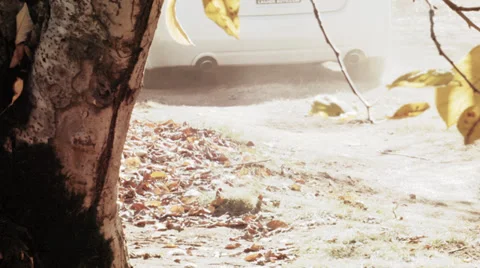 Car hiding behind a tree Stock Footage 32930325