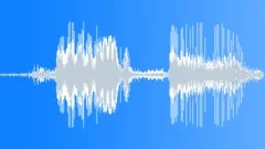 Car Holden FE 1957 Sound Effect