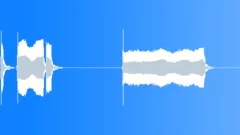 Car HonkSound Effect