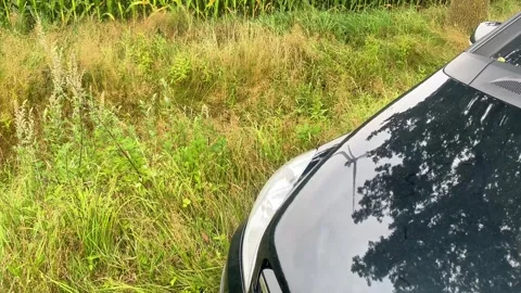 Car Hood Reflection in Green Cornfield and Wind Energy Landscape with Summer Sky Stock Footage 280902736
