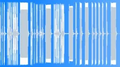 Car Horn 2Sound Effect