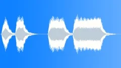 Car Horn 2Sound Effect