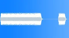 Car Horn Long & Short 2005 Ford FocusSound Effect