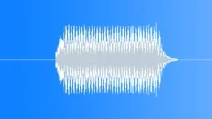 Car Horn Signal 5 Sound Effect
