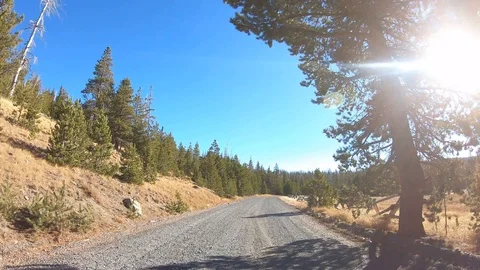 Car Hyperlapse Oregon 1 Video stock 99156852
