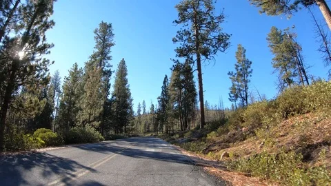 Car Hyperlapse Oregon 2 Video stock 99156848