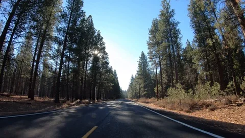 Car Hyperlapse Oregon 3 Video stock 99156802