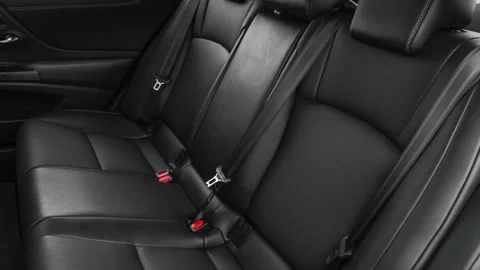 Car interior with back seats and seatbelts  2019 Lexus ES ES 350 F Sport Stock Footage 160051048