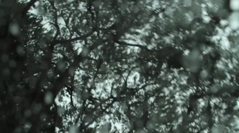 Car interior during the rain Stock Footage 46806320