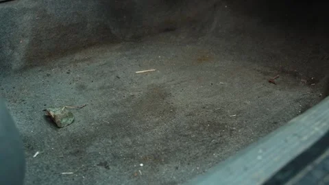 Car interior floor showing accumulation of dirt, sand, and various pieces of Stockbeeldmateriaal 323911066
