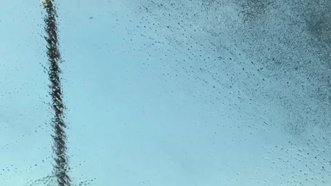 Car Interior Perspective of Window Washing with Foam Stock Footage 331726419