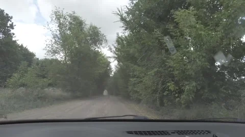 Car Interior View: Man Driving POV Stock Footage 293564366