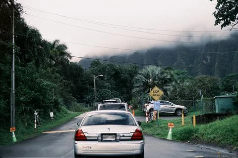 Car in Jungle Stock Photos