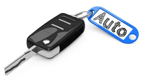 The car key Stock Illustration
