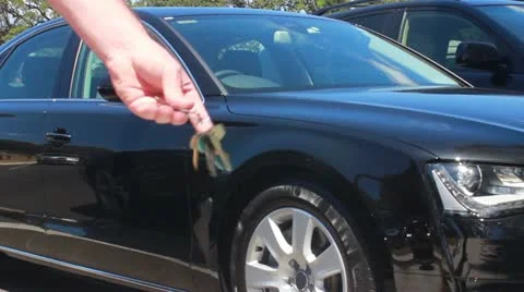 Car keys Vídeo Stock 20477147