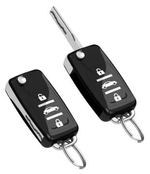 The car keys Stock Illustration