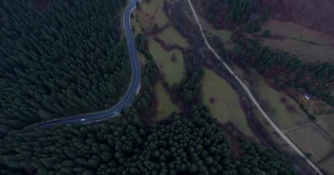 Car leaving the woods Stock Footage 82648354