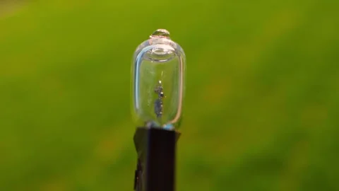Car light bulb not working close-up on green blurred background Stock Footage 308580303