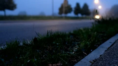 Car light trails on a road in dawn Stock Footage 139972015