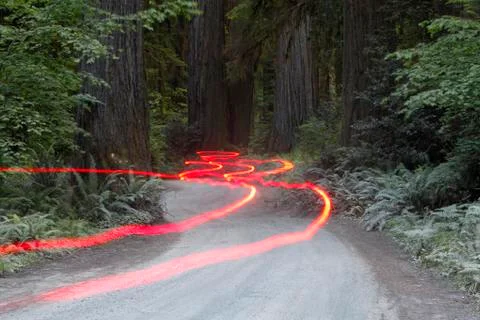 Car lights on a bumpy road, jedediah redwoods, california coast, california,  Stock Photos