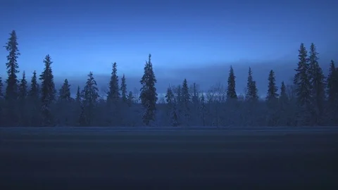 Car lights in winter forest Stock Footage 83636347