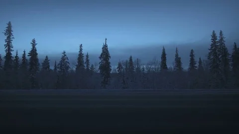 Car lights in winter forest Stock Footage 84271383