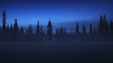 Car lights in winter forest Stock Footage 85136622
