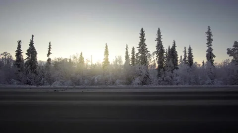 Car lights in winter forest Stock-Footage 86082408