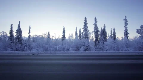 Car lights in winter forest Stock Footage 86481725