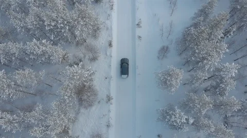 Car in magic winter forest  Video stock 104353797