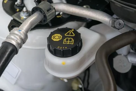 Car maintenance, check the level of brake and clutch fluid Stock Photos