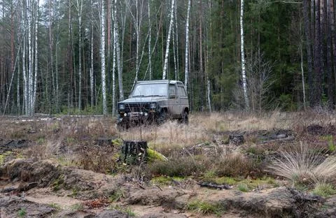 Car in the middle of the forest Stock Photos