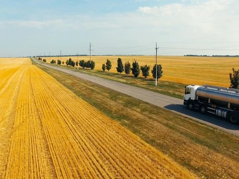 The car milk on the road through the fields Stock Footage 73460732