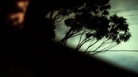 Car mirror reflection, trees and sky driving, slow motion Vídeos de archivo 49359953