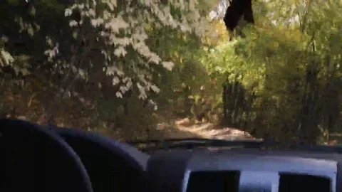 The car in the mountains Stock Footage 69238369